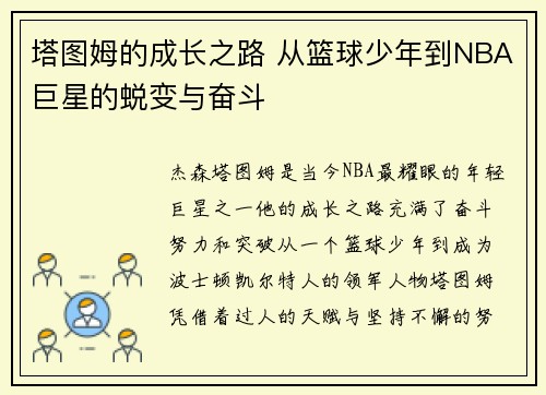 塔图姆的成长之路 从篮球少年到NBA巨星的蜕变与奋斗