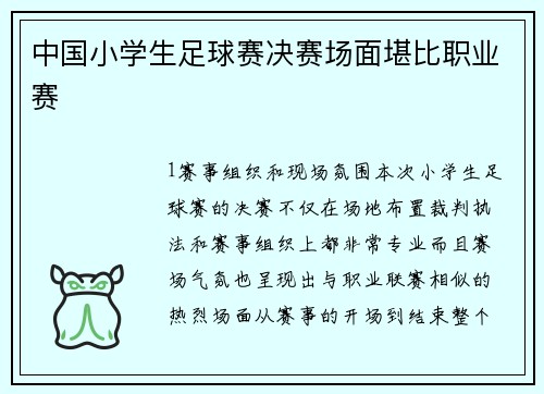 中国小学生足球赛决赛场面堪比职业赛